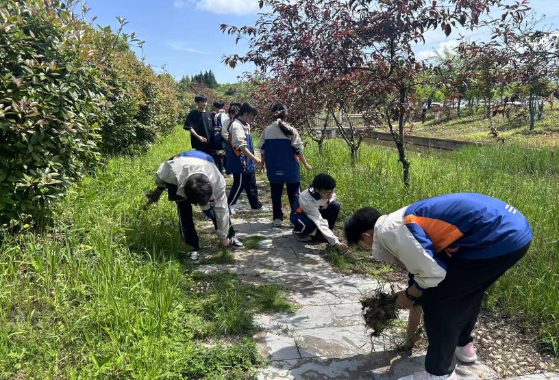 326d3bf0be5a60628f37129e70ebbcd